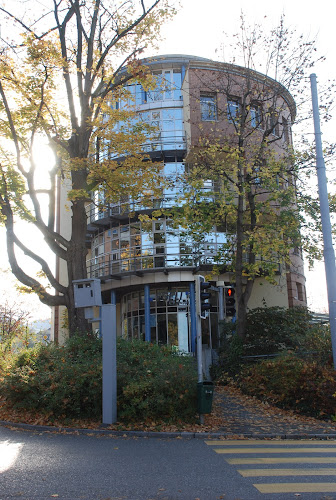Rezensionen über EGELI Immobilien AG in St. Gallen - Immobilienmakler