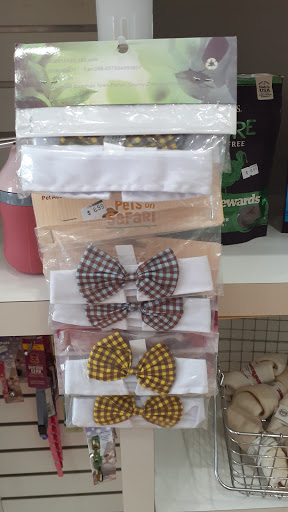 Pet Store «South Beach Pet Shop», reviews and photos, 634 6th St, Miami Beach, FL 33139, USA