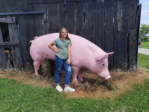 Farm «Benton Family Farm», reviews and photos, 11896 Old Lexington Pike, Walton, KY 41094, USA