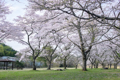 小百川桜公園