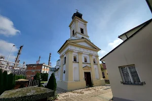 Monastery Vojlovica image