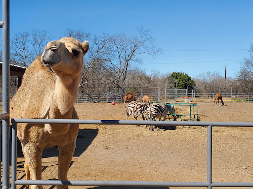 Zoo «Animal World & Snake Farm Zoo», reviews and photos, 5640 Interstate 35 Frontage Rd, New Braunfels, TX 78132, USA