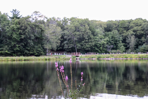 State Park «Hopkinton State Park», reviews and photos, 164 Cedar St, Hopkinton, MA 01748, USA