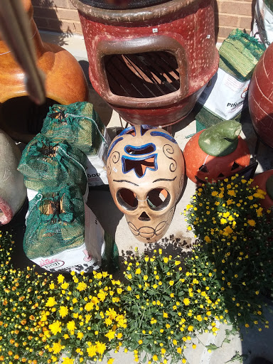 Grocery Store «Tom Thumb», reviews and photos, 612 Grapevine Hwy, Hurst, TX 76054, USA