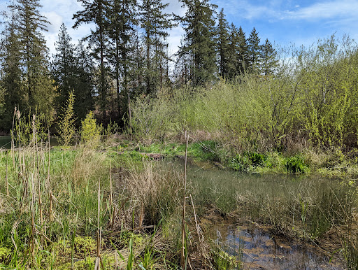 Park «Foege Park», reviews and photos, 125 NW Cedar Hills Blvd, Portland, OR 97229, USA