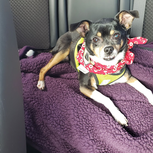 Pet Supply Store «Natural Pet Center», reviews and photos, 3037 13th Ave S, Fargo, ND 58103, USA