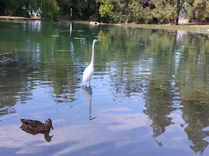 Ford Park - photo 26