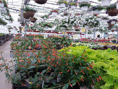 Bissell's Greenhouse