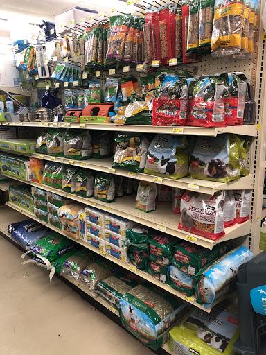 Home Improvement Store «Lake Isabella True Value», reviews and photos, 6050 Lake Isabella Blvd, Lake Isabella, CA 93240, USA