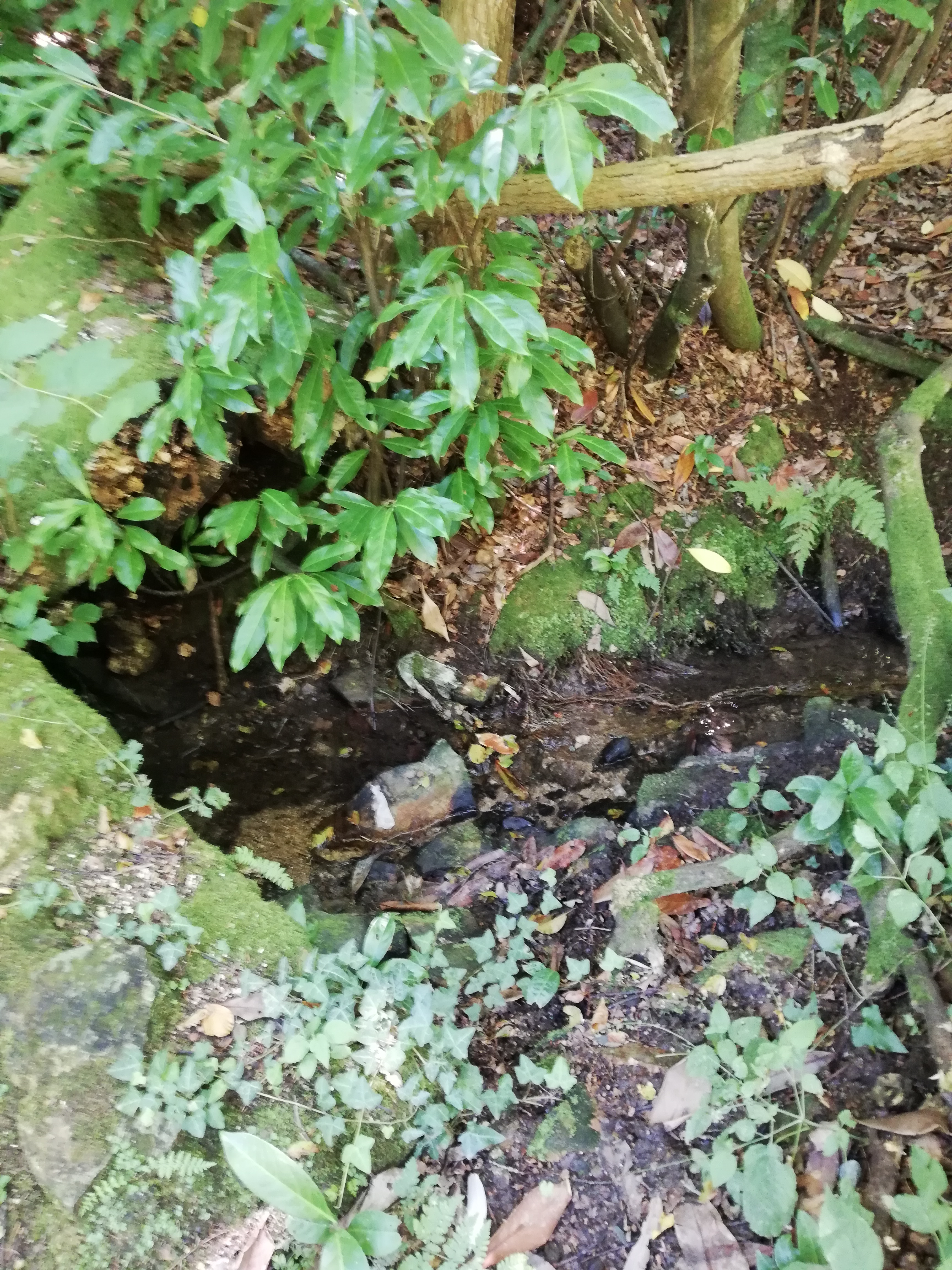 Photo n° 9 de l'avis de Celine.a fait le 17/10/2019 à 06:33
