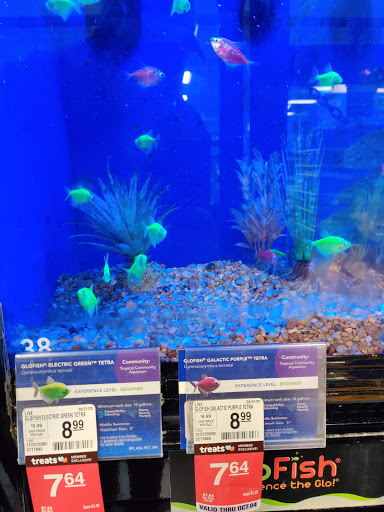 Pet Supply Store «PetSmart», reviews and photos, 215 Needham St, Newton, MA 02464, USA