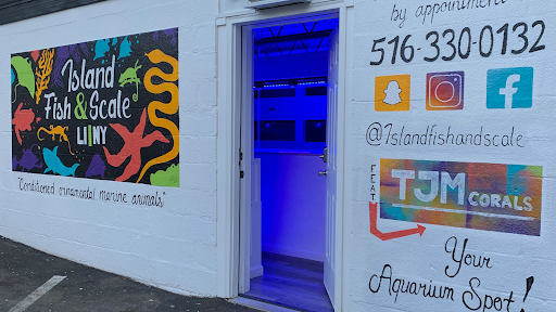 Island Fish and Scale