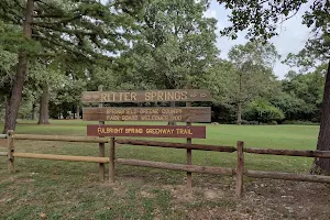 Ritter Springs Park image
