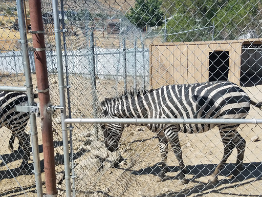 Zoo «Sierra Safari Zoo», reviews and photos, 10200 N Virginia St, Reno, NV 89506, USA
