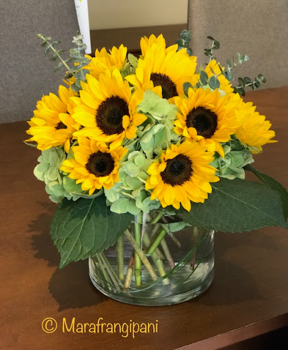 Florist «Frangipani Flowers & Gifts», reviews and photos, 1203 4th St, San Rafael, CA 94901, USA