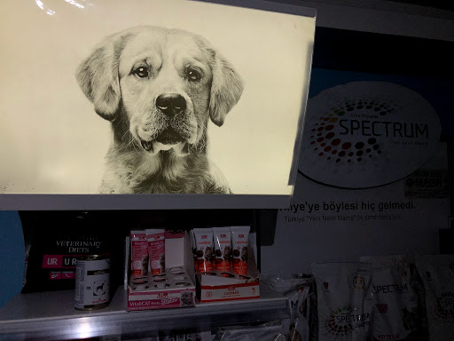 Vetapet Veteriner Kliniği 7/24 Kötekli/Muğla