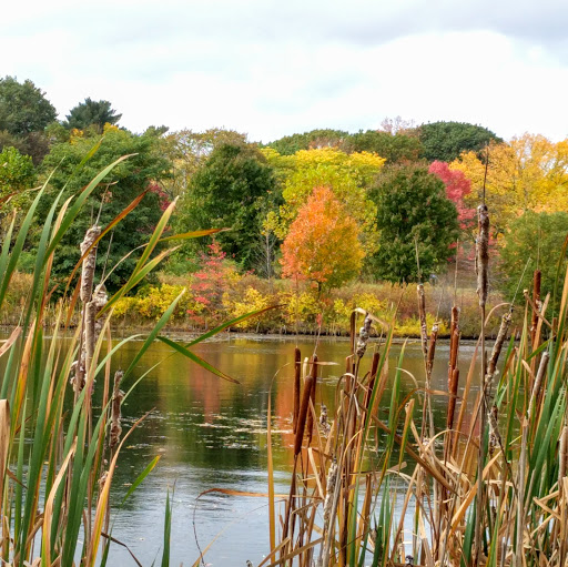 Golf Course «Fresh Pond Golf Course», reviews and photos, 691 Huron Ave, Cambridge, MA 02138, USA