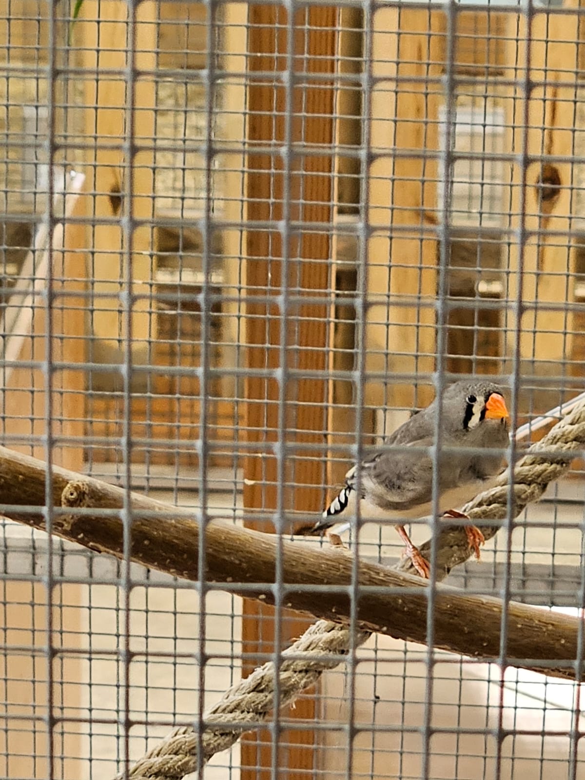 Photo n° 12 de l'avis de Chris. fait le 05/08/2023 à 05:18