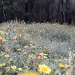 Photo n°4 de l'avis de Riccardo.o fait le 06/08/2022 à 18:01 sur le  Oasi del Lago à Civitella Alfedena