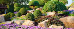 Landscape Care Associates Co. - Photo 3 - Car repair in , Boulder