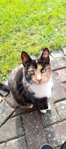 Kleintierpraxis Franziska Kähler unter Stade, Niedersachsen