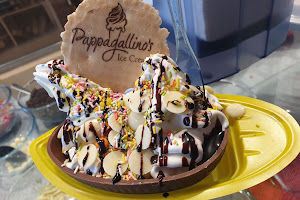 Pappagallino's Ice Cream