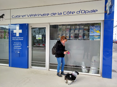 Cabinet vétérinaire de la Côte d'Opale à Berck