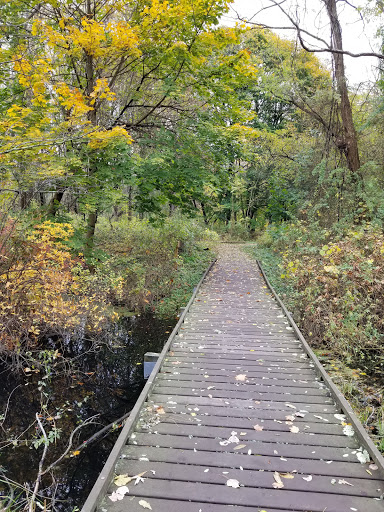 Nature Preserve «Dolan Pond Conservation Area», reviews and photos, Webster Park, West Newton, MA 02465, USA