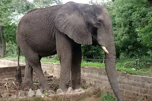 Kano Zoological Garden image