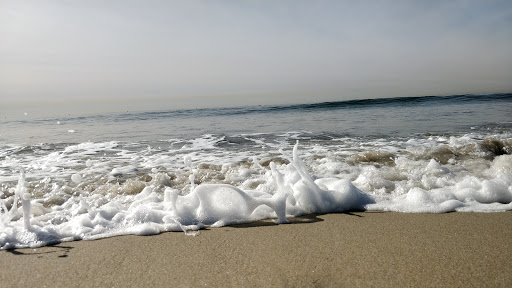 Beach «Santa Monica State Beach», reviews and photos, Pacific Coast Hwy, Santa Monica, CA 90401, USA