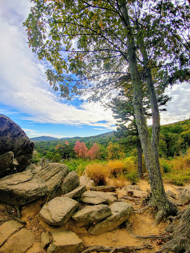 National Park «Shenandoah National Park», reviews and photos