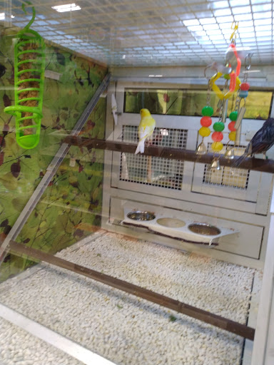 Pet Supply Store «PetSmart», reviews and photos, 73 RHL Blvd, South Charleston, WV 25309, USA