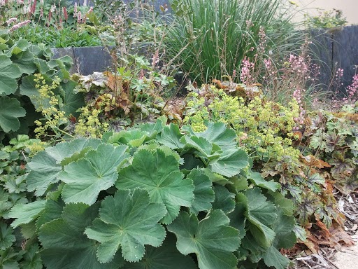 http://www.lesjardinsdhortense.fr/