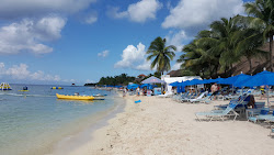 Fotografie cu Playa Mia zona hotelieră