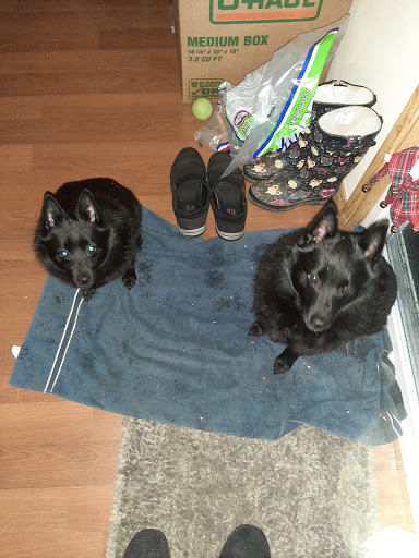 Pet Supply Store «Petco Animal Supplies», reviews and photos, 8820 NE 5th Ave, Vancouver, WA 98665, USA