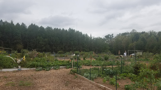 Reedy Creek Community Garden