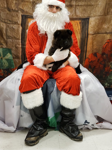 Pet Supply Store «PetSmart», reviews and photos, 12142 Jefferson Ave, Newport News, VA 23602, USA