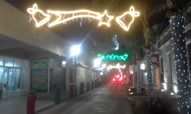 Opiniones de Peatonal Francisco Fondar en Flores - Centro comercial