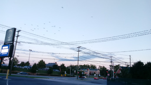 Bowling Alley «Seven Ten», reviews and photos, 19330 Leitersburg Pike # 1, Hagerstown, MD 21742, USA