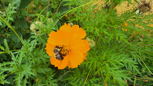 Grocery Store «Sunspot Natural Market», reviews and photos, 3717 S Reed Rd, Kokomo, IN 46902, USA