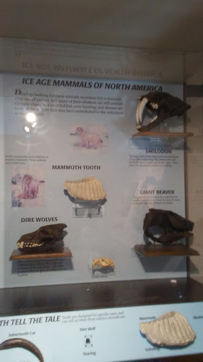 Museum «Elgin Public Museum», reviews and photos, 225 Grand Blvd, Elgin, IL 60120, USA