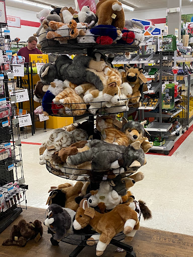 Home Improvement Store «Tractor Supply Co.», reviews and photos, 4267 13th St, St Cloud, FL 34769, USA