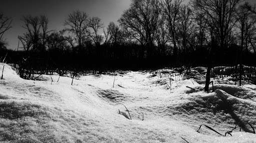 Battle Site «Third Battle of Winchester Battlefield Park», reviews and photos, 541 Redbud Rd, Winchester, VA 22603, USA