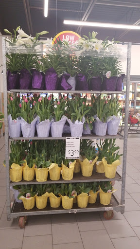 Supermarket «ALDI», reviews and photos, 9759 St Charles Rock Rd, Breckenridge Hills, MO 63114, USA