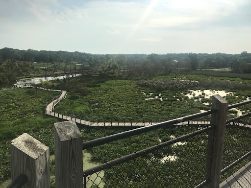 Bird Watching Area «Haehnle Sanctuary», reviews and photos, Seymour Rd, Pleasant Lake, MI 49272, USA