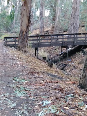 Hanns Park - photo 90