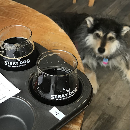 Stray Dog Brewing Company 501 Lacolle Way Unit 4, Orléans, Ontario