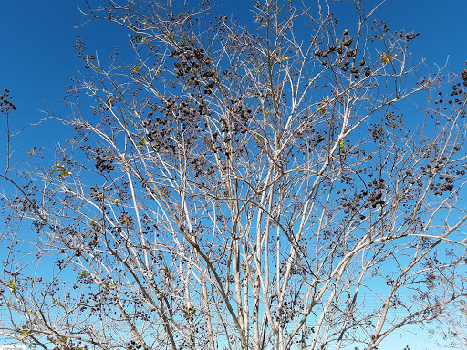 Park «Nathan Benderson Park», reviews and photos, 5851 Nathan Benderson Circle, Sarasota, FL 34235, USA