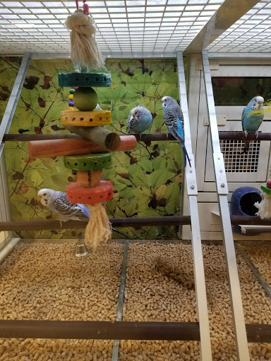 Pet Supply Store «PetSmart», reviews and photos, 4013 Wisconsin 28, Kohler, WI 53081, USA