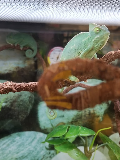 Pet Supply Store «Petco Animal Supplies», reviews and photos, 129 Mall Way, Marysville, WA 98270, USA